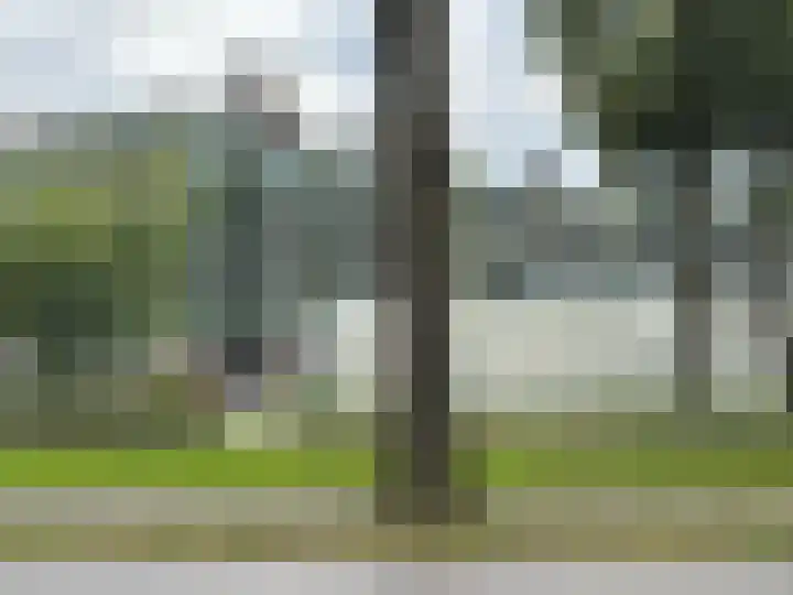 Wadden 41 Zwijndrecht thumbnail 32