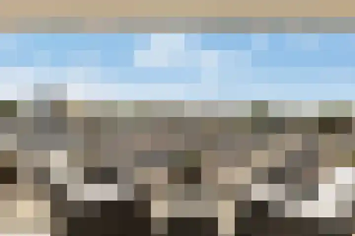 Wadden 53 Zwijndrecht thumbnail 9