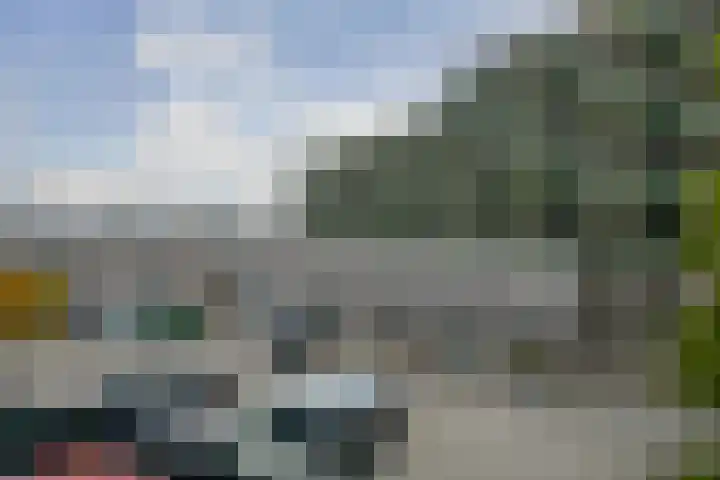 Wadden 55 Zwijndrecht thumbnail 32
