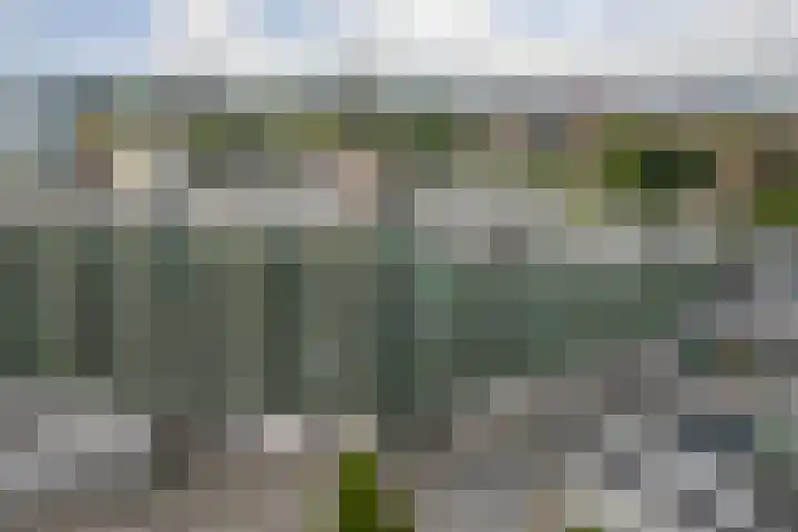 Wadden 55 Zwijndrecht thumbnail 33