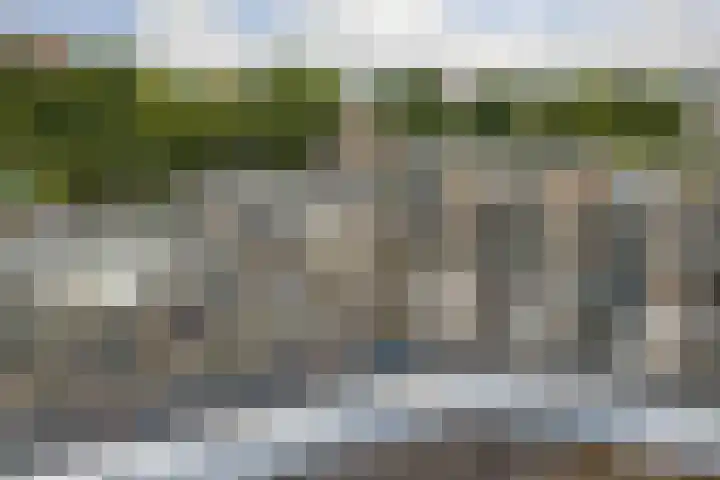 Wadden 55 Zwijndrecht thumbnail 35