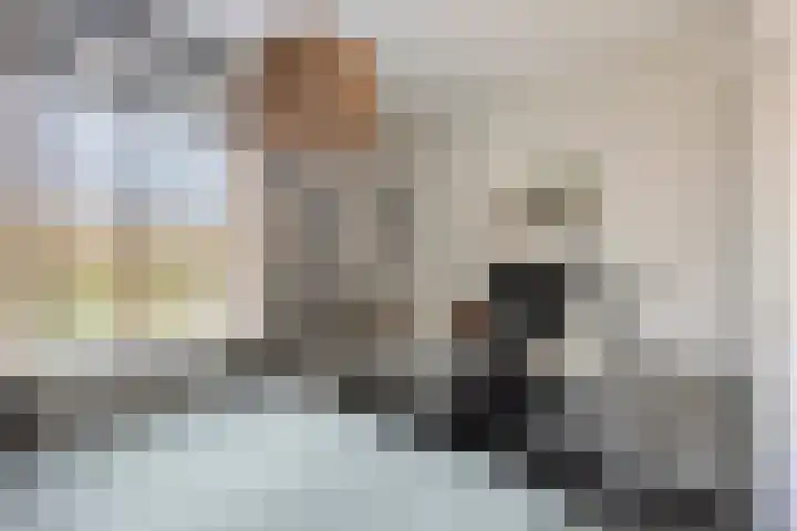 Wadden 57 Zwijndrecht thumbnail 11