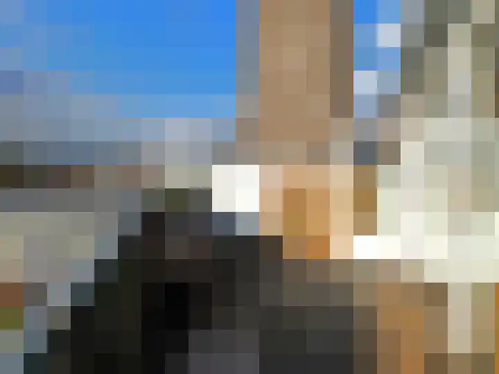 Wadden 75 Zwijndrecht thumbnail 12