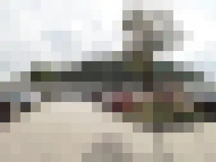Wadden 75 Zwijndrecht thumbnail 37