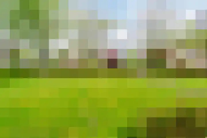 Waddenland 14 Duivendrecht thumbnail 24