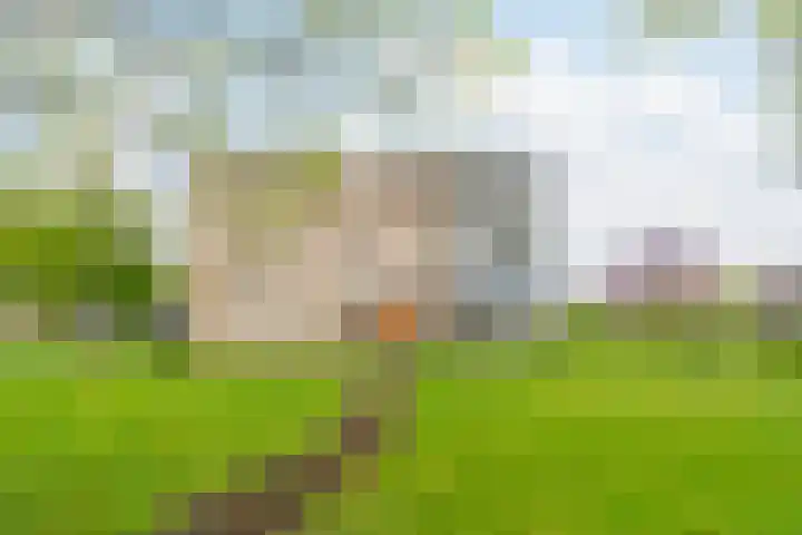 Waddenland 14 Duivendrecht thumbnail 31