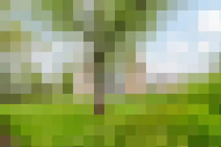 Waddenland 14 Duivendrecht thumbnail 32