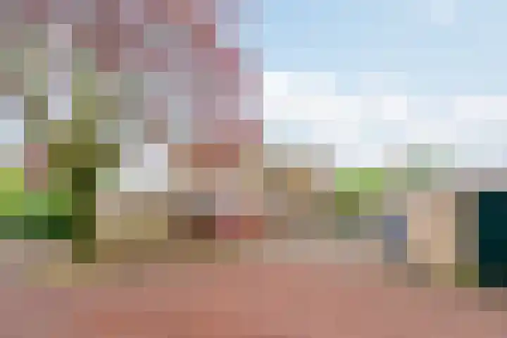 Waddenland 14 Duivendrecht thumbnail 35