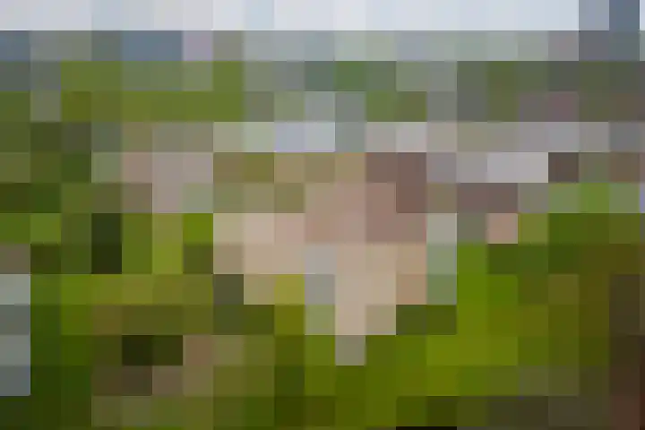 Waddenland 14 Duivendrecht thumbnail 38