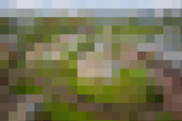 Waddenland 14 Duivendrecht thumbnail 39