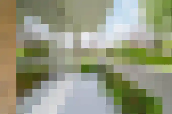 Waddenland 14 Duivendrecht thumbnail 4