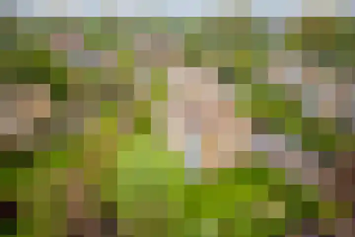 Waddenland 14 Duivendrecht thumbnail 40
