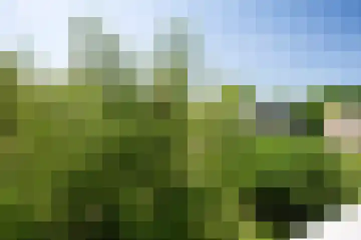 Waddenland 23 Duivendrecht thumbnail 13