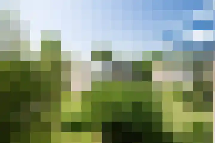 Waddenland 23 Duivendrecht thumbnail 14