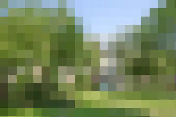 Waddenland 23 Duivendrecht thumbnail 28