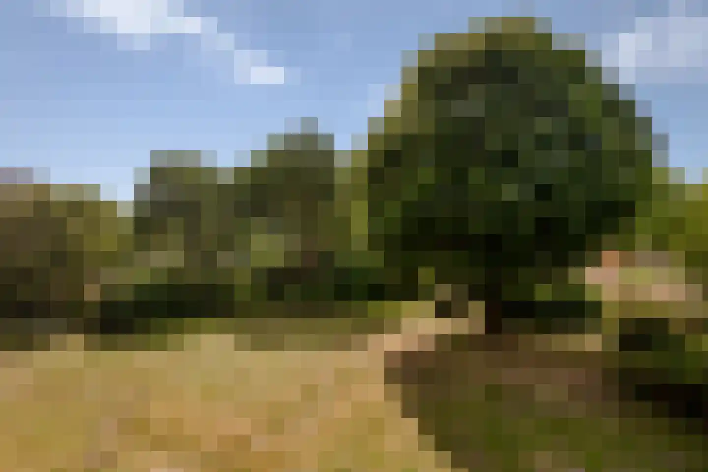 Waddenland 28 Duivendrecht thumbnail 23