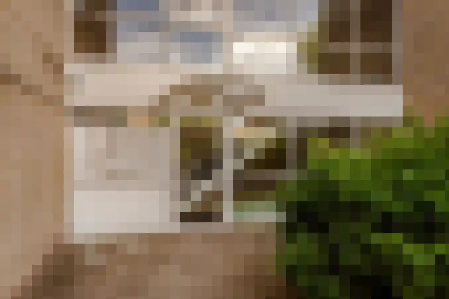 Waddenland 28 Duivendrecht thumbnail 24