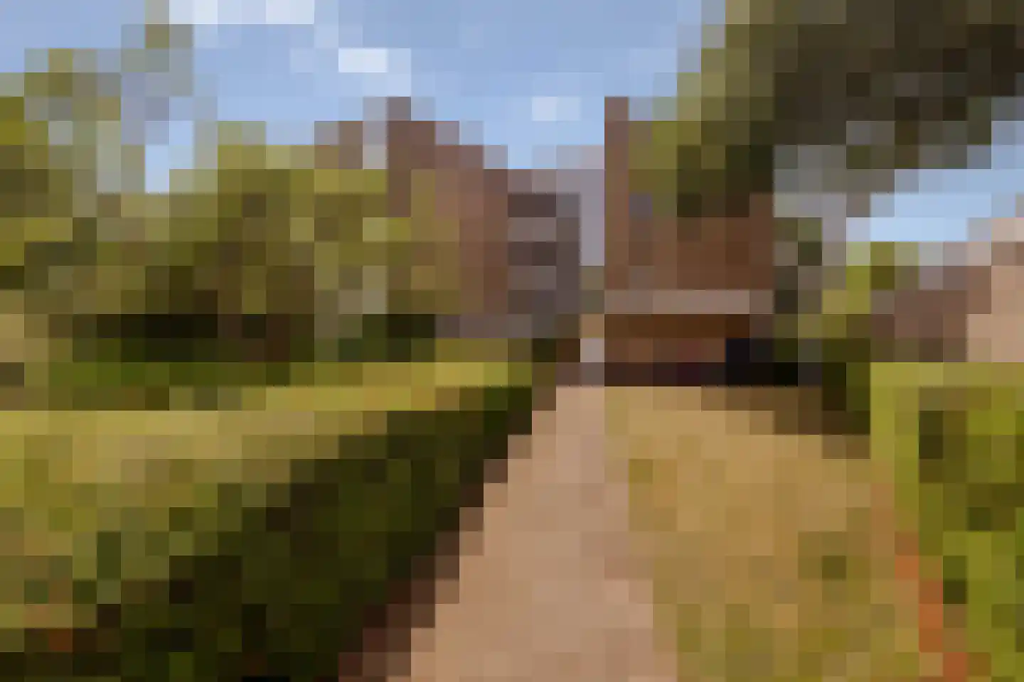 Waddenland 28 Duivendrecht thumbnail 25