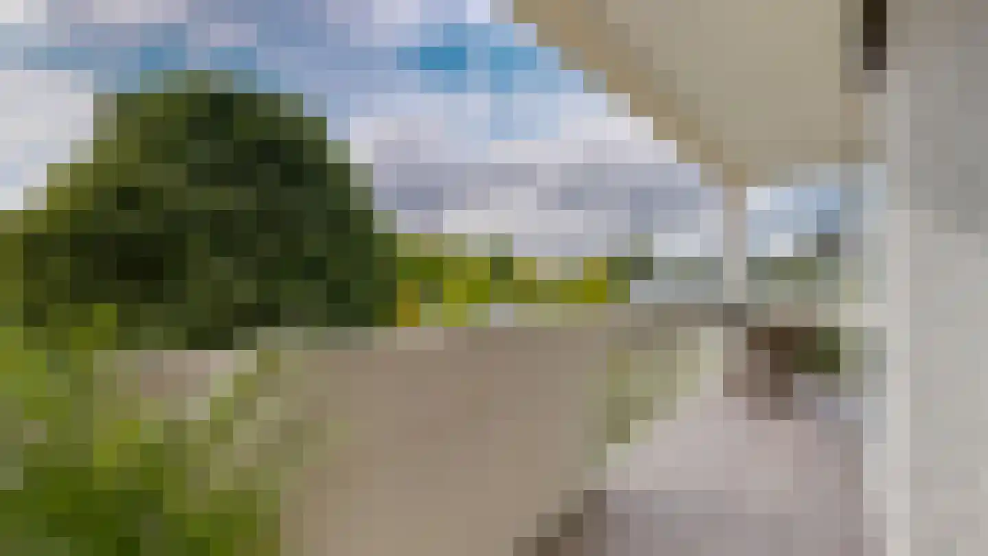 Waddenland 31 Duivendrecht thumbnail 11