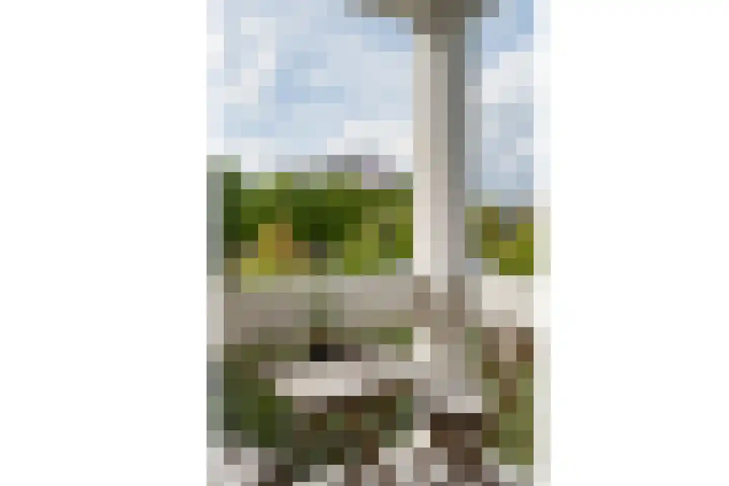 Waddenland 31 Duivendrecht thumbnail 13