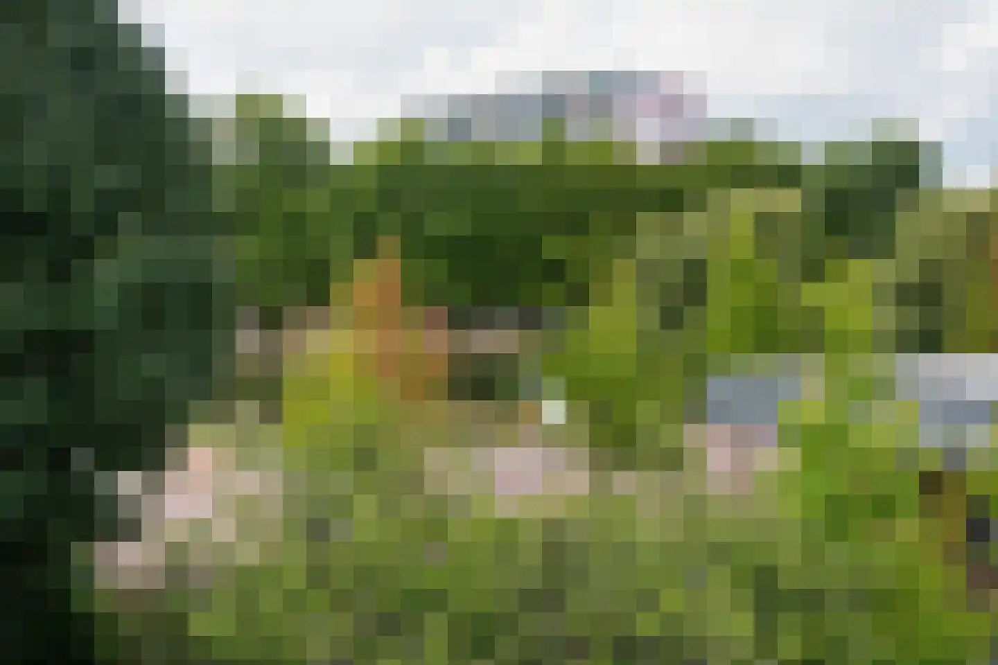 Waddenland 31 Duivendrecht thumbnail 35