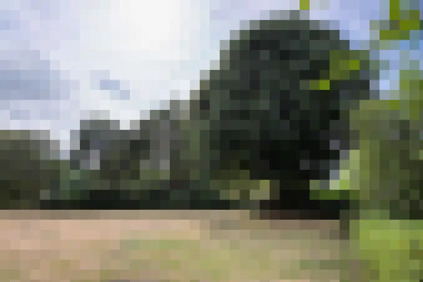 Waddenland 31 Duivendrecht thumbnail 36
