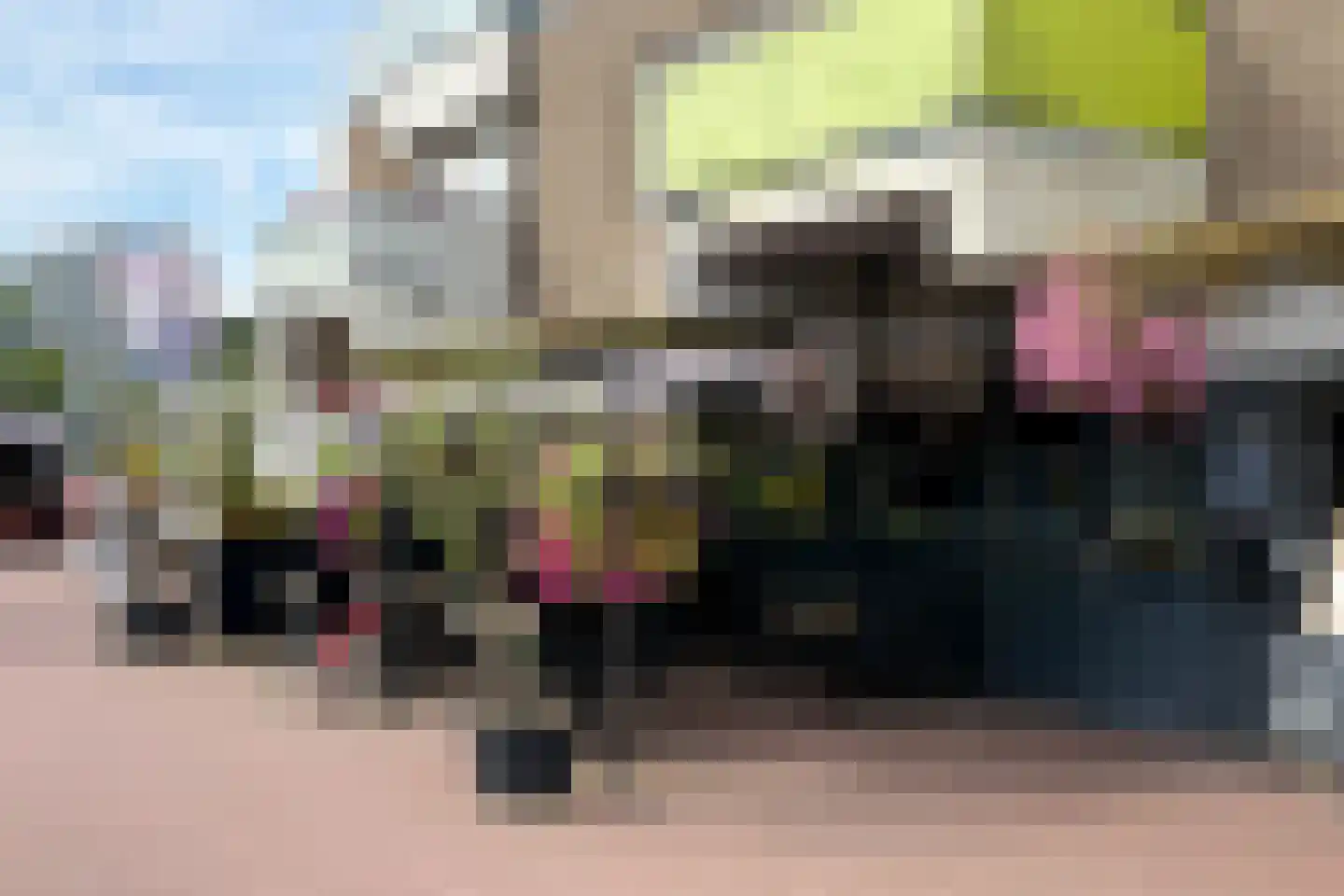 Waddenland 31 Duivendrecht thumbnail 40