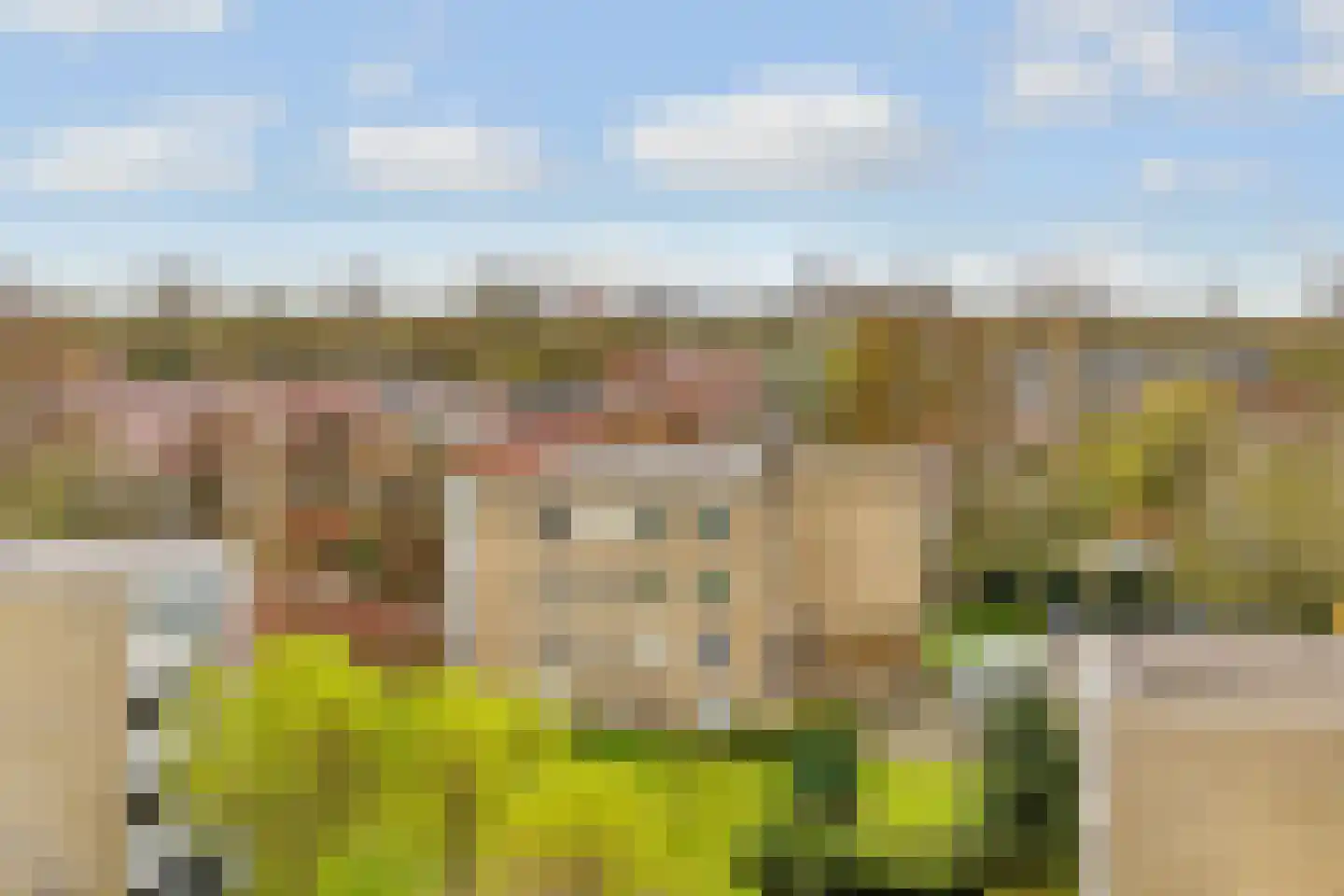 Waddenland 59 Duivendrecht thumbnail 45