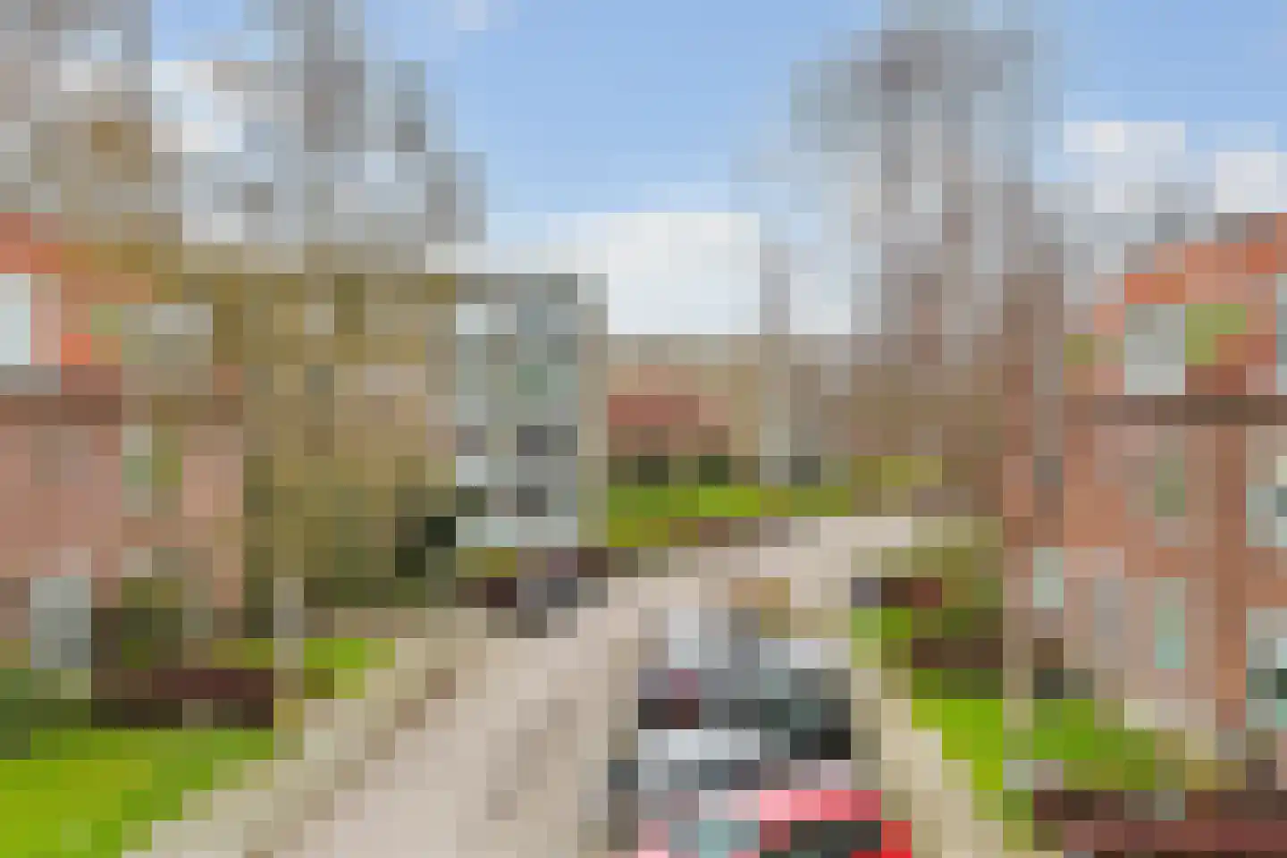 Waddenland 59 Duivendrecht thumbnail 46