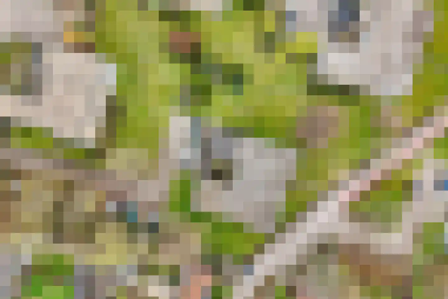 Waddenland 59 Duivendrecht thumbnail 48