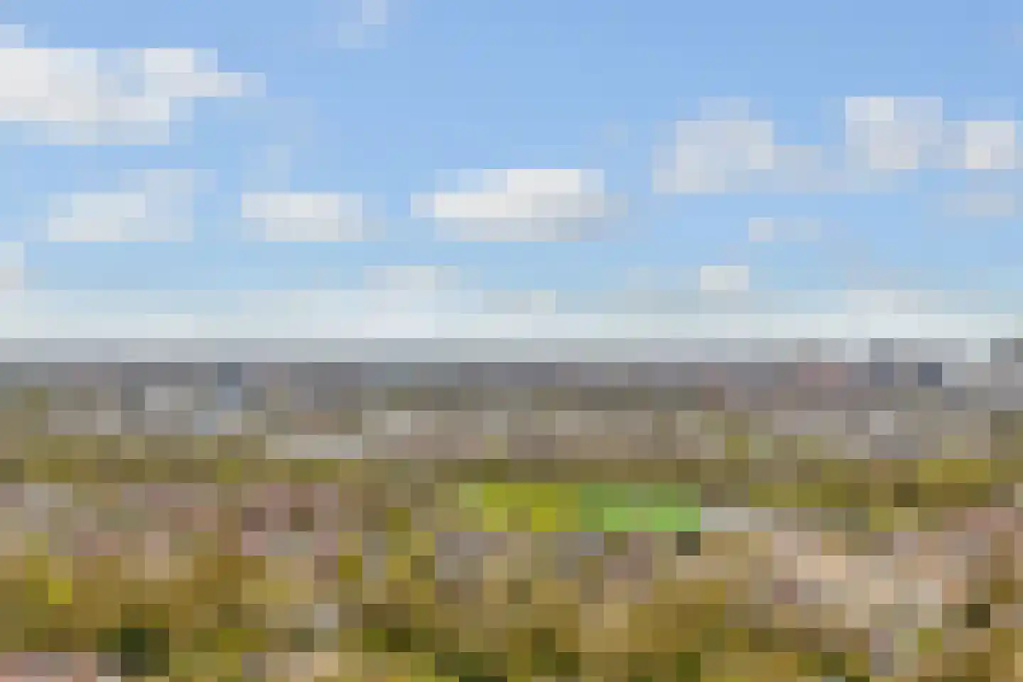 Waddenland 59 Duivendrecht thumbnail 49