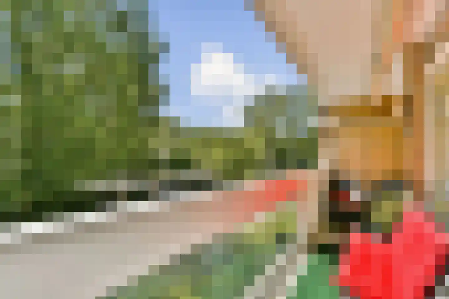 Waddenland 65 Duivendrecht thumbnail 12