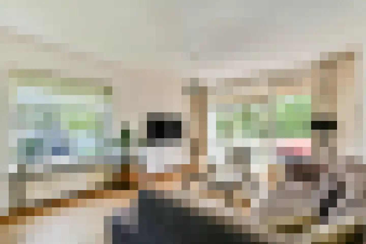 Waddenland 65 Duivendrecht thumbnail 8