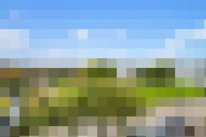 Waddenring 117 Barendrecht thumbnail 33