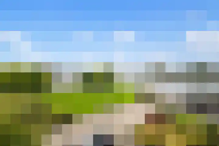 Waddenring 117 Barendrecht thumbnail 4