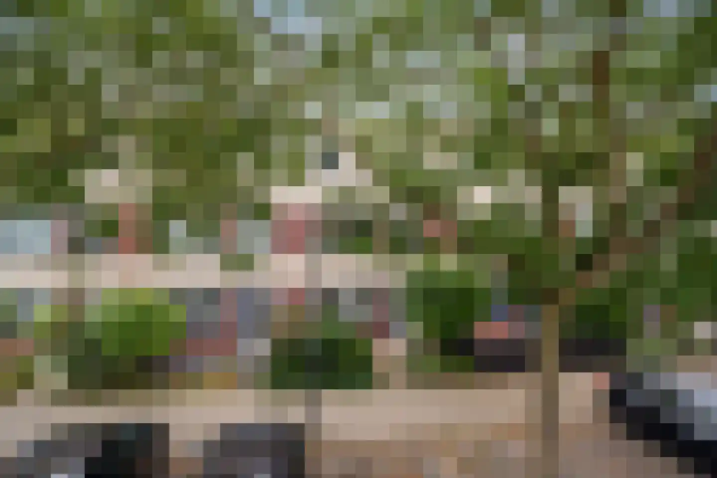 Waddenring 237 Barendrecht thumbnail 7
