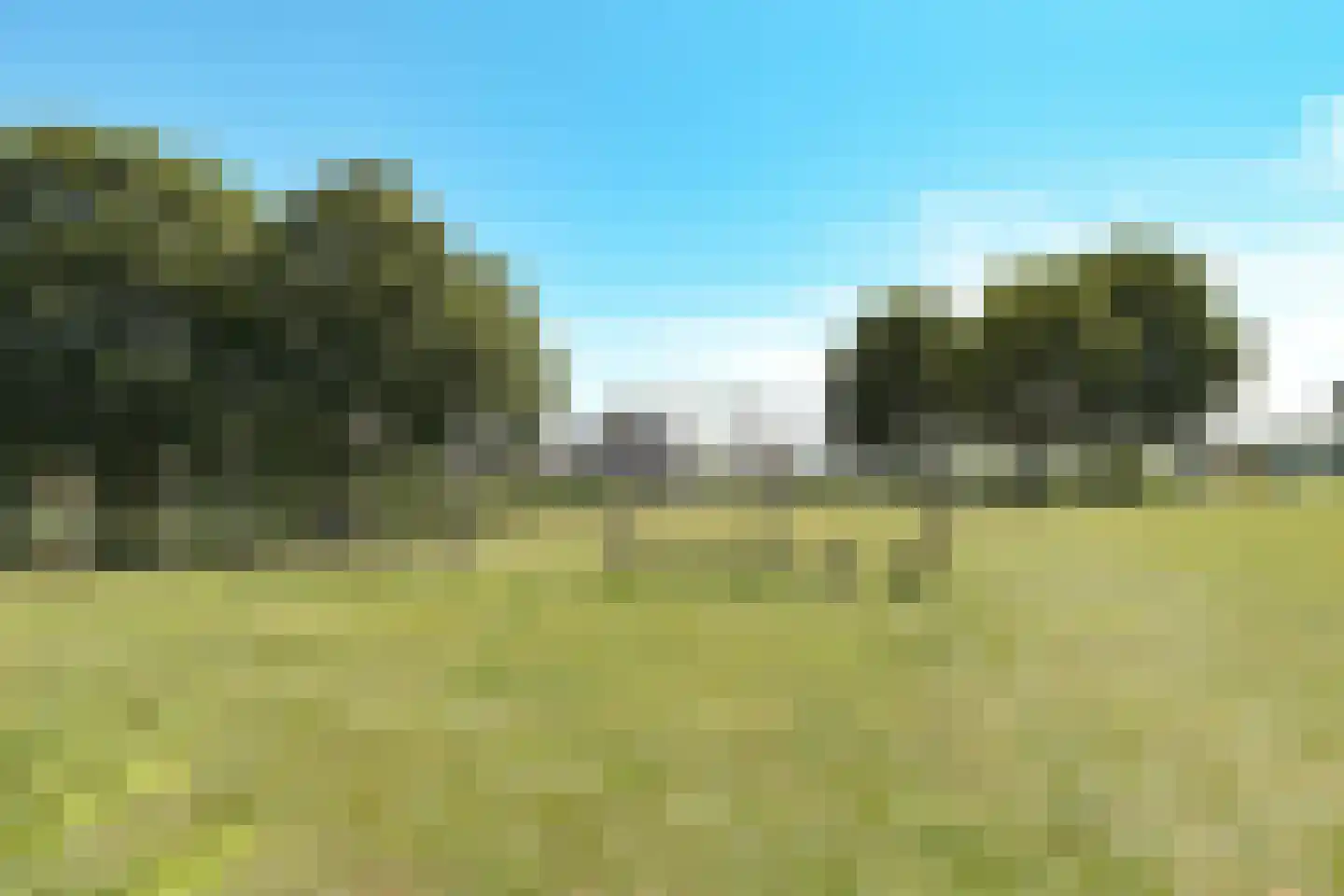 Waddenring 239 Barendrecht thumbnail 43