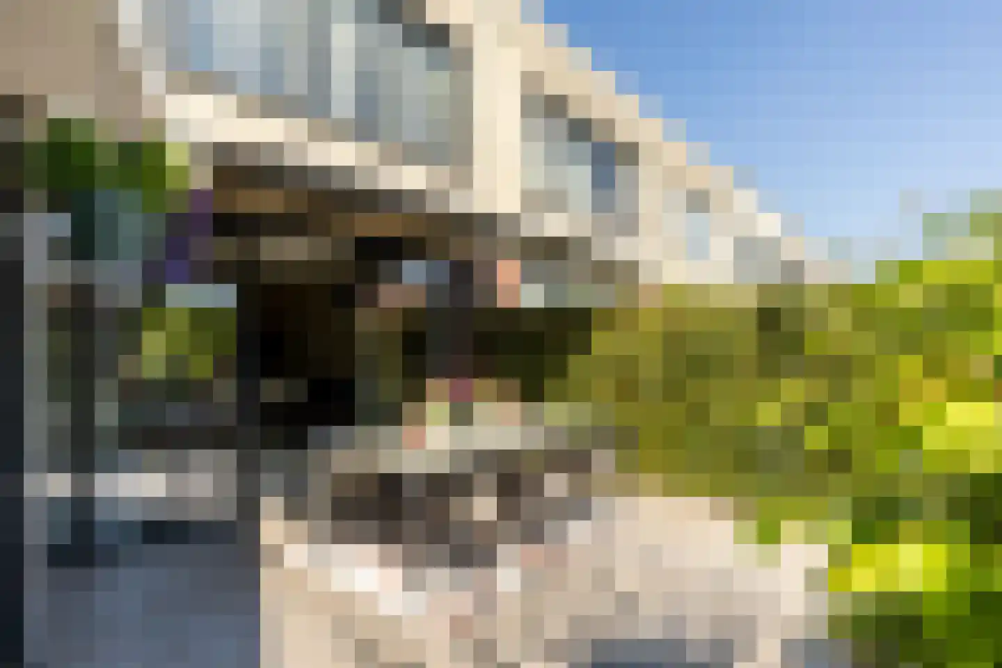 Waddenring 277 Barendrecht thumbnail 36