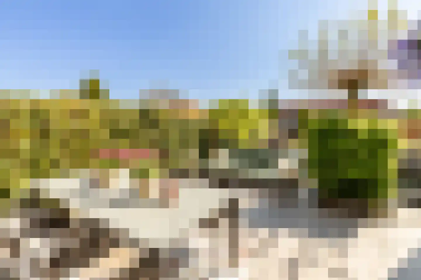 Waddenring 277 Barendrecht thumbnail 37