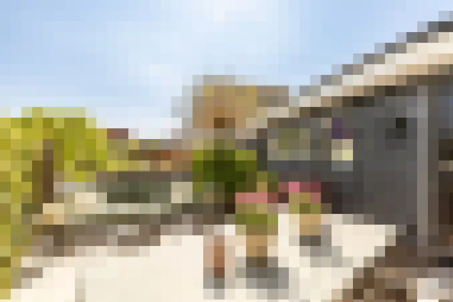 Waddenring 277 Barendrecht thumbnail 38