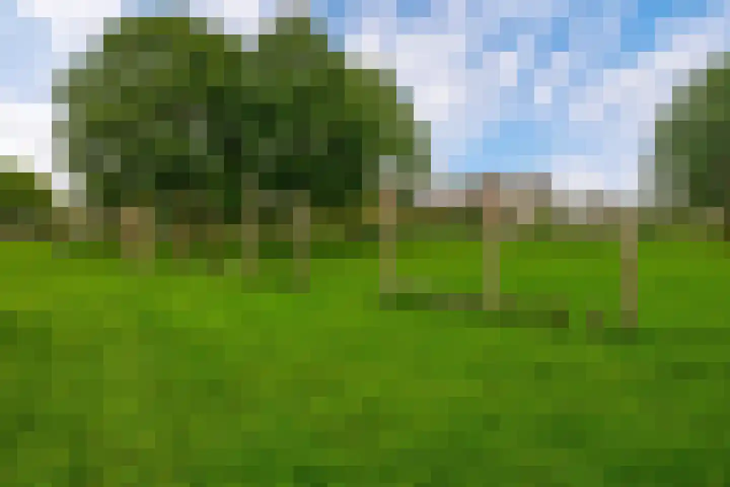 Waddenring 77 Barendrecht thumbnail 36