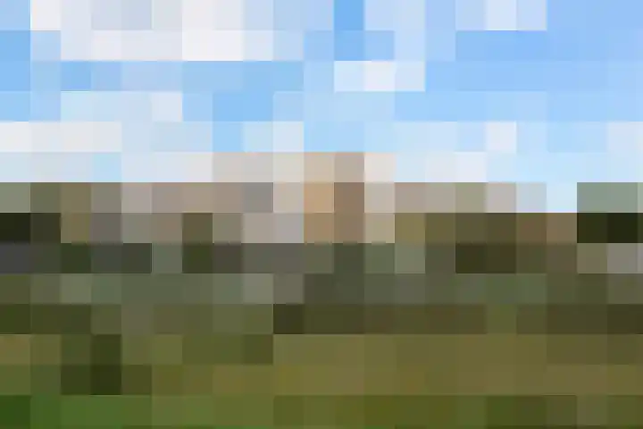 Waddenring 97 Barendrecht thumbnail 21