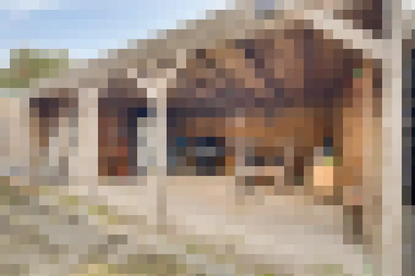 Waddenstraat 18 Den Oever thumbnail 26