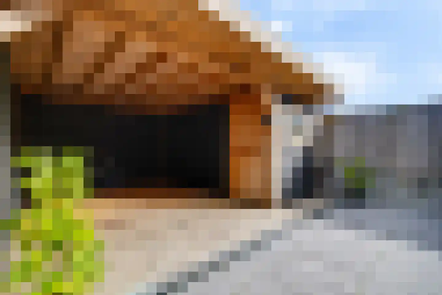 Waddenstraat 20 Den Oever thumbnail 28