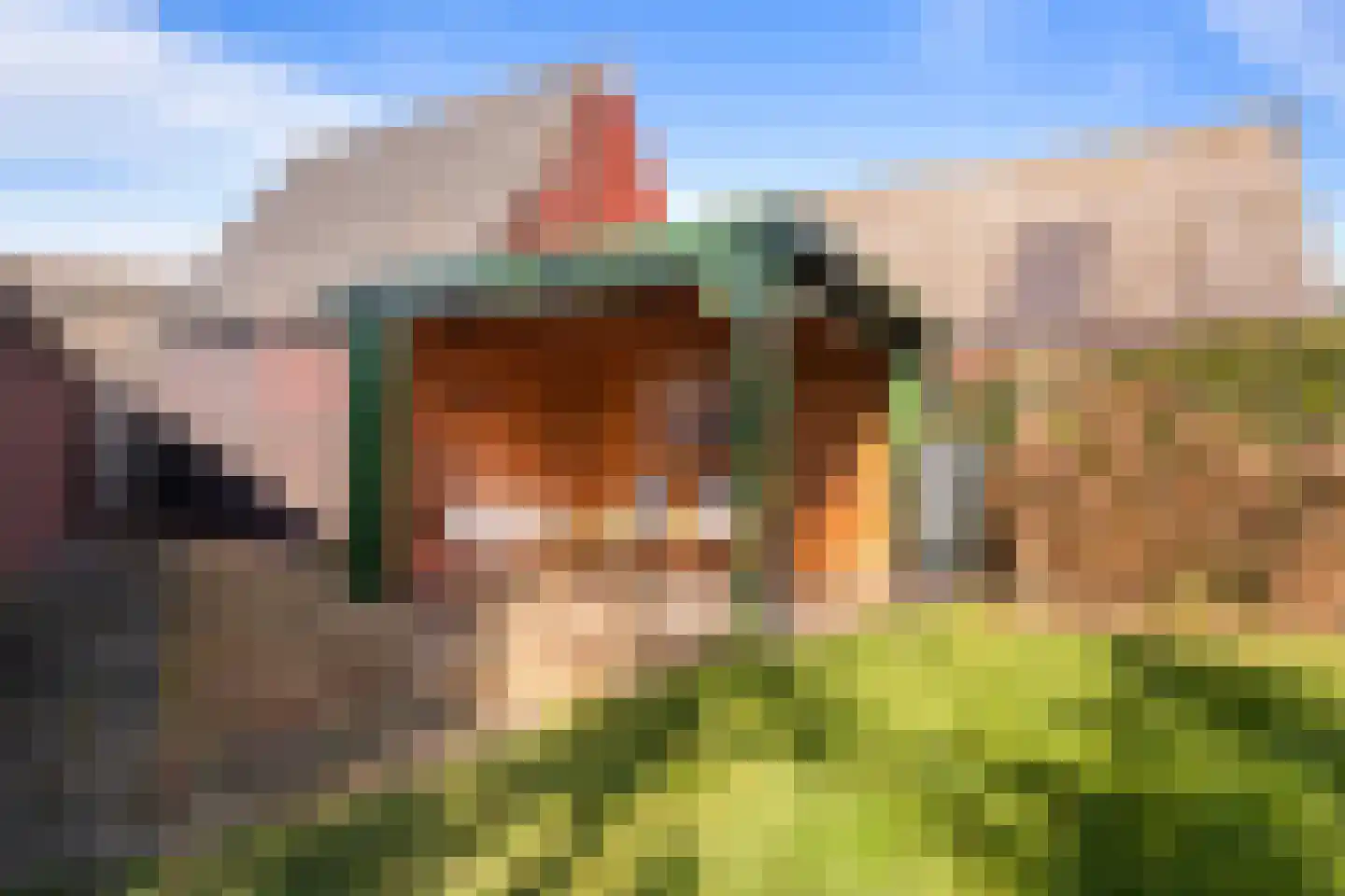 Waddenstraat 4 Den Oever thumbnail 24