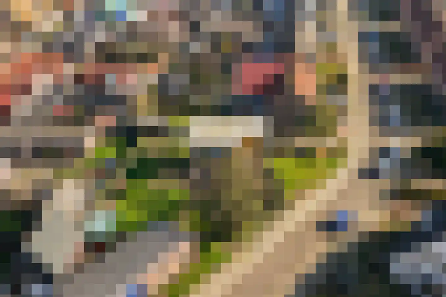 Waddenstraat 4 Den Oever thumbnail 31
