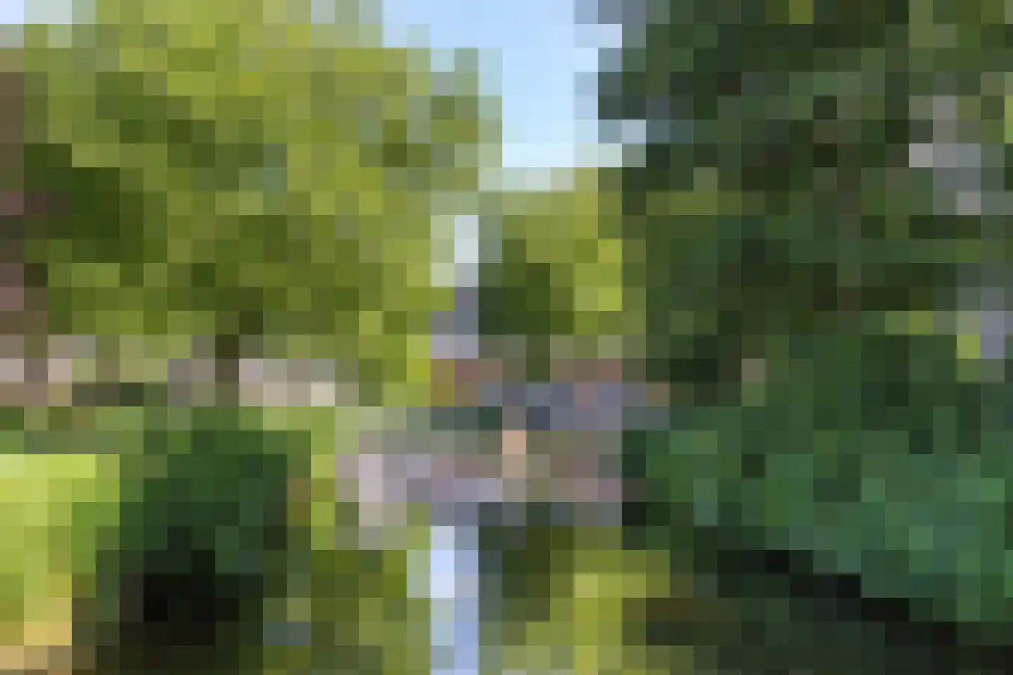 Waddenstraat 417 Haarlem thumbnail 33