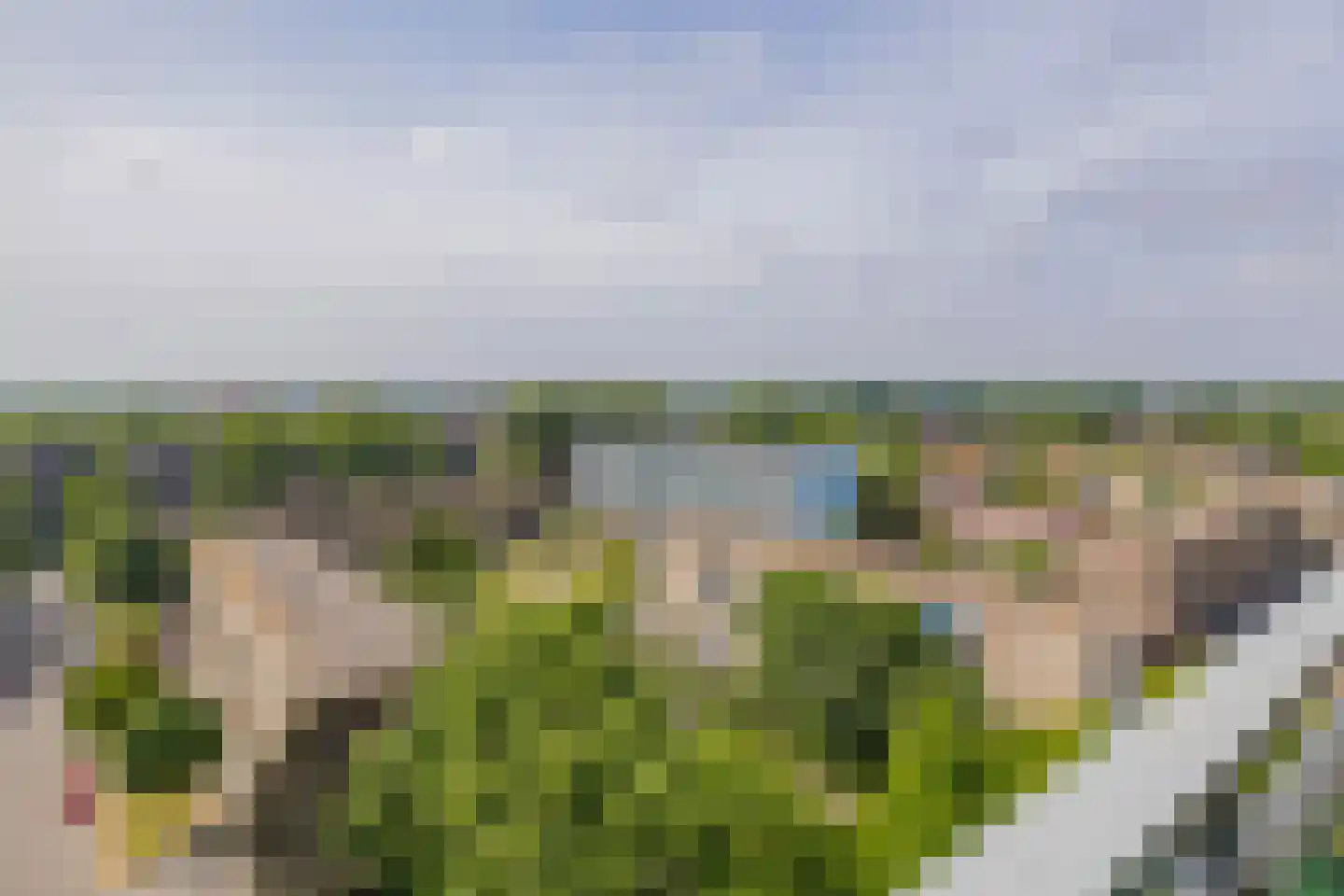 Waddenstraat 449 Haarlem thumbnail 8