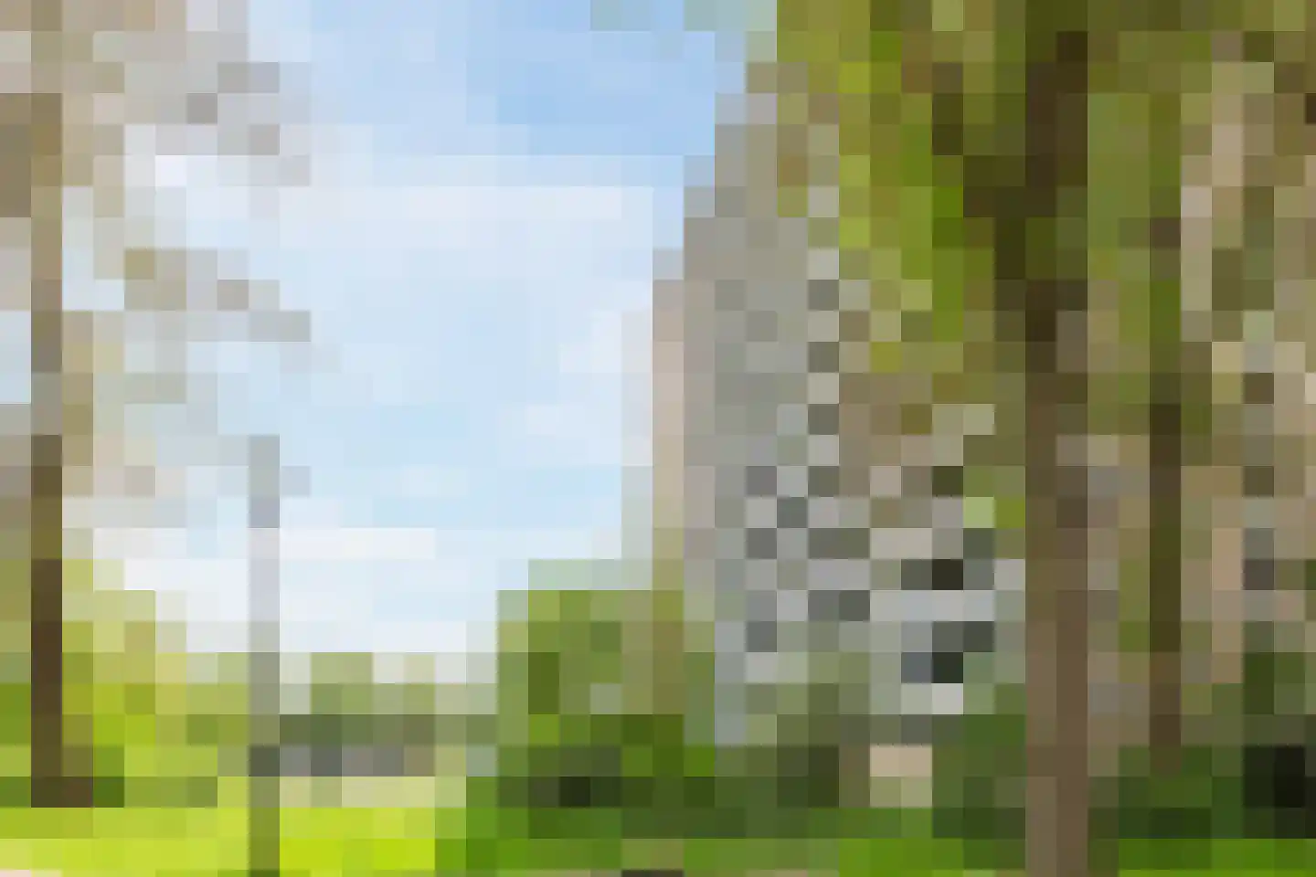 Waddenstraat 543 Haarlem thumbnail 35