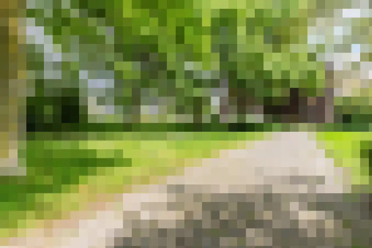 Waddenstraat 543 Haarlem thumbnail 38